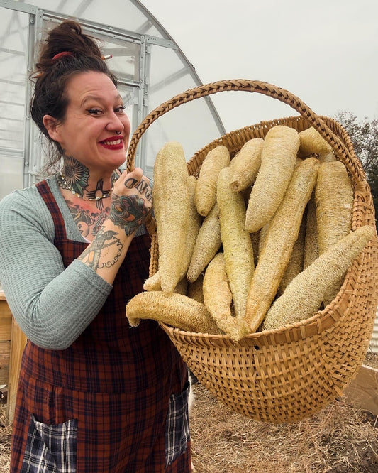 Farm-Grown Luffa Sponges (whole 6” & 8” & 14” peeled gourds)