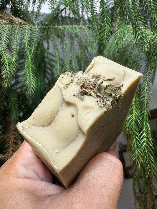 Tobacco and Bay Leaf Tallow and Goat Milk Soap (7oz bar)