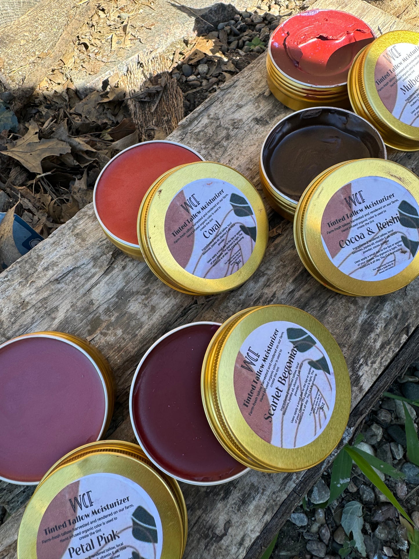 Tinted Whipped Tallow (larger 2oz tin!)