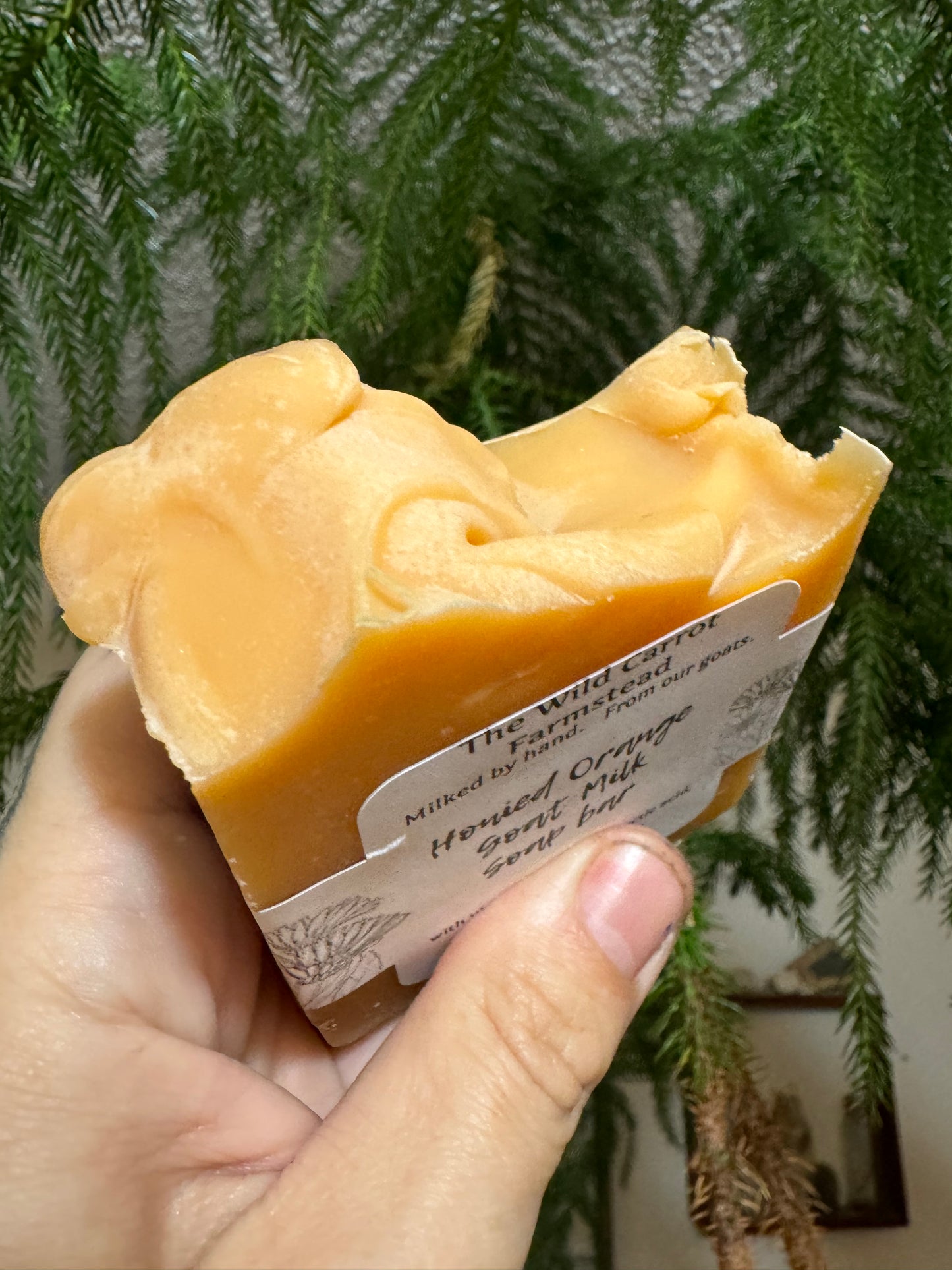 Honied Orange Goat Milk & Tallow Soap (7oz)