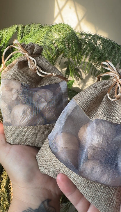 Black Garlic (3 farm grown heads in burlap bag)