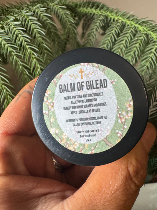 Balm of Gilead (2oz glass jar)