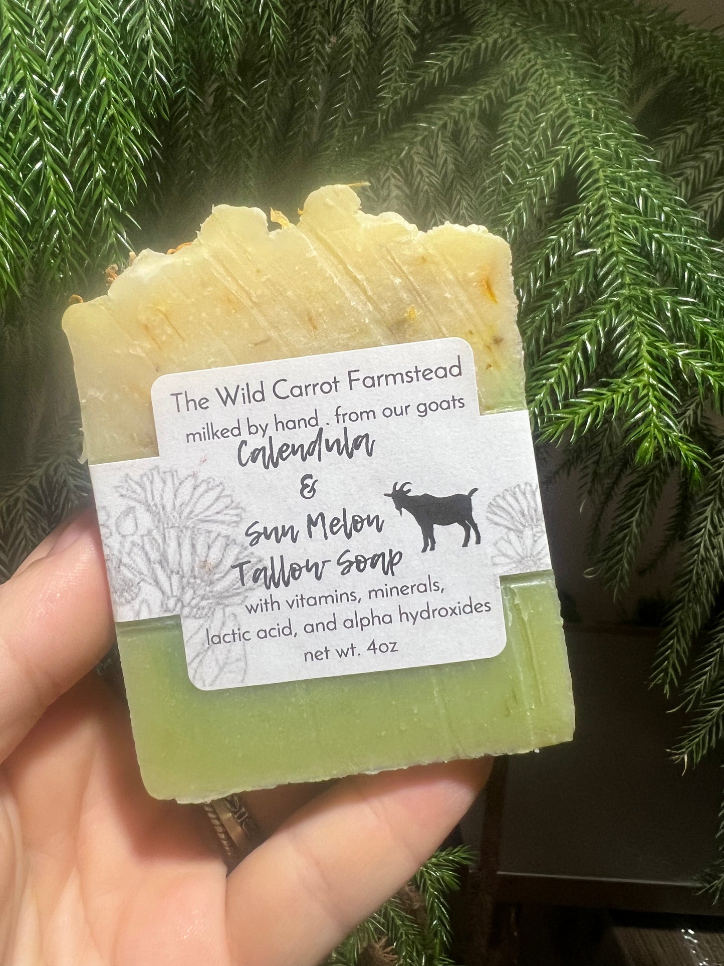 Calendula & Sun Melon Tallow Soap Bar (4oz)