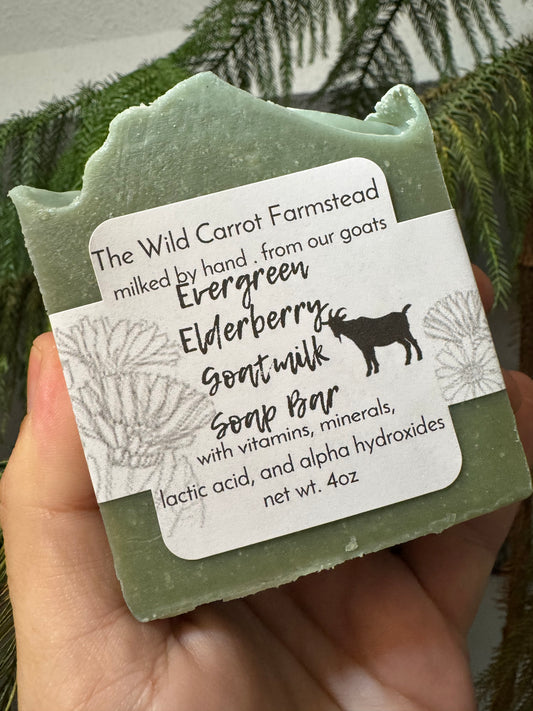 Evergreen and Elderberry Goat Milk Soap Bar (large 6oz bar)