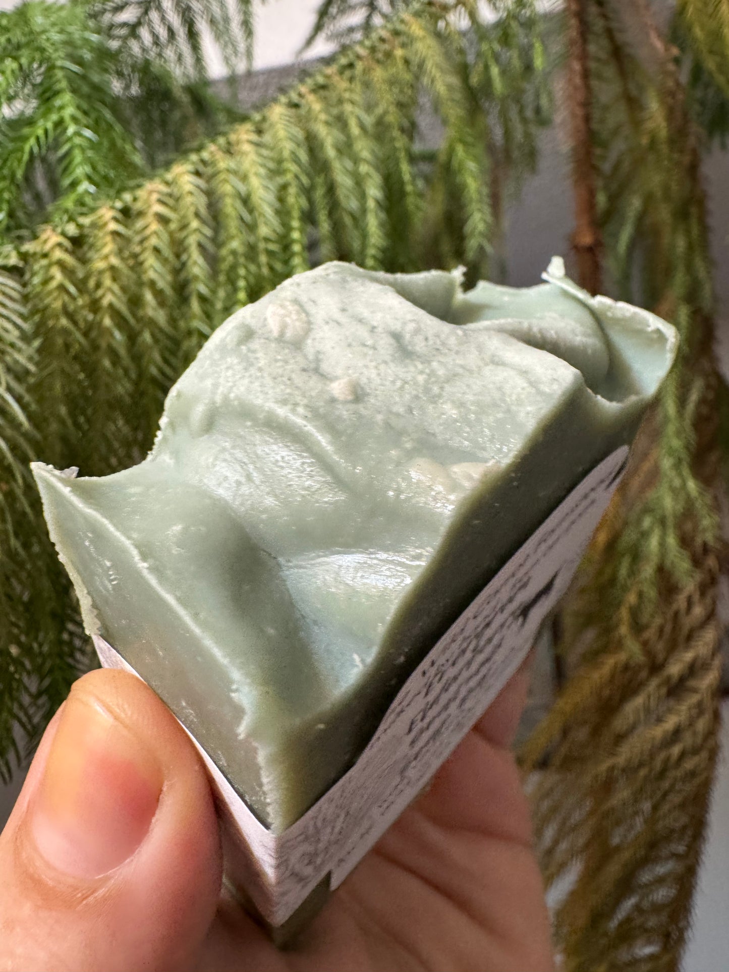 Evergreen and Elderberry Goat Milk Soap Bar (large 6oz bar)