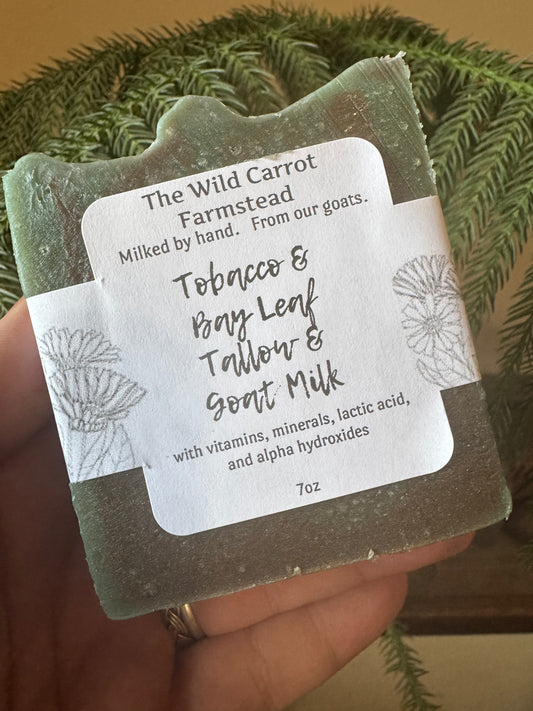 Tobacco and Bay Leaf Tallow and Goat Milk Soap (new look same infusions 7oz bar)